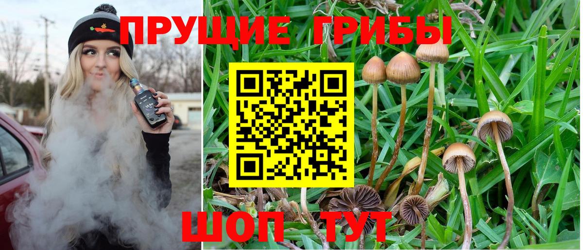 Галлюциногенные грибы MAGIC MUSHROOMS  Вход с VPN  Галлюциногенные грибы MAGIC MUSHROOMS  Североморск 